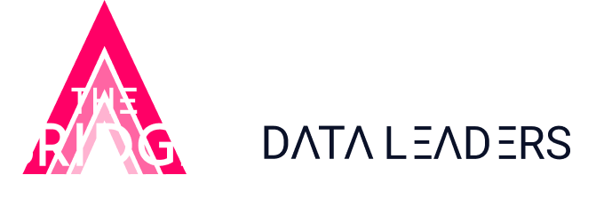 Data Leaders logo